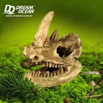 NOMOYPET 노모이펫 피규어-열대어 햄스터 물고기 파충류 은신처 어항 장식 쉼터 용품 테라리움, 1개