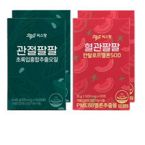 씨스팡 관절팔팔 2개 + 혈관팔팔 2개, 9세트