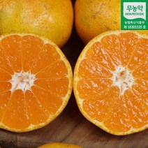 제주 무농약 감귤 5kg 10kg 제주귤 무농약귤 서귀포귤 햇귤 조생귤 극조생귤 제주감귤 제주발송, 제주 무농약 감귤 10kg