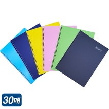 예손21 뉴플러스 악보화일 스프링 파일 30P, 30매, 하늘