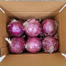 [산지당일발송] 잘 말려 단단한 2023년 햇 양파 빨간양파 3Kg/5kg/10kg/20Kg, 햇 빨간양파3kg 특, 1개