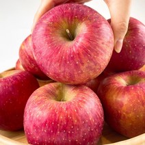 고당도 경북 청송 사과 햇 부사 정품 흠과 혼합 가정용 5kg 대과 (13-14과)