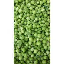 베트남 가지 1kg/ca phao /아시아 농장 송소희, 1kg, 1개