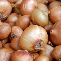 (가락시장까망콩) 단단하고 달콤한 햇 양파 5kg, 1개