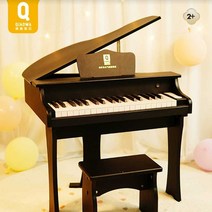 어린이 전자오르간 입문용 미니 전자올겐 악기 피아노, (블랙)피아노+교육영상+마이크