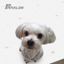 강아지매트 거실 DIY 애견 방수 반려 매트 베란다 쿠션 강아지 롤 묘 애견매트 ghddprjs*973886110gS, 해피하개(15T)(2장)
