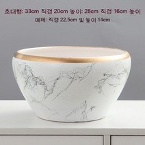 호접란 냄비 세라믹 특대경 약야생 멀티 스타일 탁상 그린 딜 복 나무 녹색 식물 냄비 꼬리, X115-飞丝金边, 大号（送塑料托盘）
