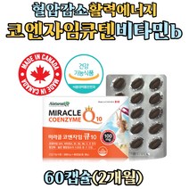 직장인 남성 중년 활력에너지 혈압 감소 코엔자임큐텐 영양제 항산화 비타민 C E 앤 리보플라빈 티아민 B군 함유 코앤자임 큐텐 코큐텐 COQ10 60대 70대 80대