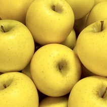 아삭아삭 고당도 프리미엄 시나노골드사과, 2.5kg 소과 (15-19과), 1개