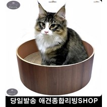 소파보호 아기고양이키우기 고양이키우기 네일케어 고양이화장실발판 고양이펫샵