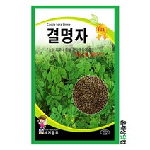 결명자 200립 / 결명자씨앗 결명자씨 종자 토속나물 약초