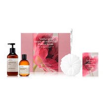 비욘드 토탈 리커버리 바디워시 500ml 기획세트 (센트 파라다이스 에디션), 1개