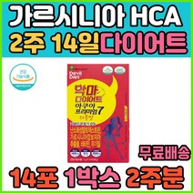 단기 2주 한달 다이어트 식이섬유 비타민B HCA 가르시니아 다이어트 카르니틴 효모 체지방줄이는법 체지방감소 탄수화물 컷팅제 체지방빼는법 복부 뱃살 똥배 술배 살 빼는법