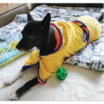 아노아노 양면타올가운 대형견수건 대형견가운, 옐로&오렌지(대형견용), 옵션선택, 옵션선택