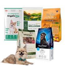 뉴트리웰 이달의 행사/ 애견사료 진도사료 전견용 강아지사료 - 01.아라포펫, 01.소고기 1.2kg