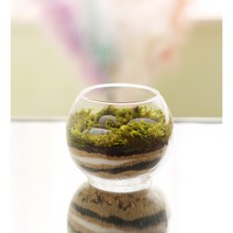 그리너리 이끼 테라리움 DIY 키트 에그스톤 테라리엄 체험학습 만들기패키지 숲 꾸미기