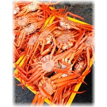 산지직송 대게 홍게 3kg(9~12마리) 수율80%이상 박달 연지 3kg 5kg 영덕 구룡포 자숙 울진, 1개