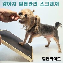 강아지 발톱 관리 갈이 다듬기 스크래쳐 매트 사포 평판 패드 긁음판, 교체용사포 1장