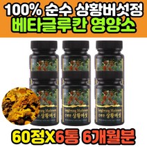 50대 60대 찔레 뽕나무 자연산 상황버섯 분말 정 펠리누스린테우스상화버섯 효모 베타글루칸 식이섬유