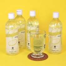 제주용암해수로만든 이온음료 비타슬러500ml, 500ml, 4개