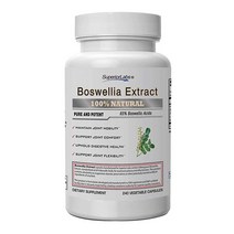 슈페리어랩스 Boswellia Extract 보스웰리아 500mg 240정, 1개, 기본