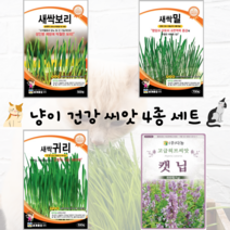 캣그라스 씨앗 4종 set/ 새싹보리 새싹귀리 새싹밀 캣닢 씨앗
