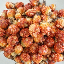 제철 활 통멍게 깐멍게, 통멍게1kg, 1개