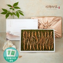 6~10년근 국내산 산양삼 산삼 산양산삼 장뇌삼 장뇌산삼, 6년근 실속형 20뿌리 (1상자)