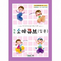 시드 소마큐브 입문(구.소마놀이)/소마큐브교재 #5023EA#, BNK 본상품선택