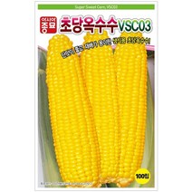 초당 옥수수씨앗 VSC03 아시아종묘 햇종자 200립 2000립, 초당옥수수씨앗 VSC03 200립, 1개