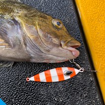 슬로우지그 SLW001 빅게임 메탈지그 지깅메탈 부시리 방어 삼치 대구 메탈, 150g, 03 핑크 지브라