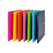 다솔 에코크리어화일10P 20p 30P 40p 클리어파일, 분홍, 1개