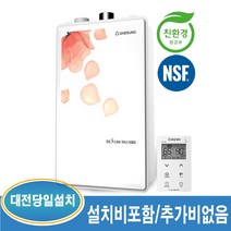 대성쎌틱 DNB 13S 21평이하 일반 가스보일러 (대전 및 인근지역 당일 설치가능), DNB-13S-21평이하+경보기