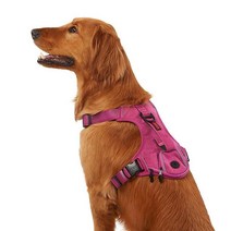 KONG 내구성이 뛰어난 쓰레기 봉투 하네스(라지 그린), Pink, XL, Pink_XL