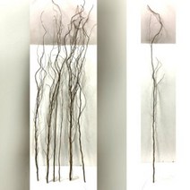 마른 곱슬버들 ( 약100cm ) 5줄기1묶음 -데코나무 장식나무 꽃꽃이재료 수반재료 수경식물 수경나무 버들 버들잎-마른곱슬-5개이상주문시발송