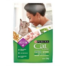 퓨리나 생후 12개월 이후 캣차우 인도어 고양이 건식사료, 2kg, 3개