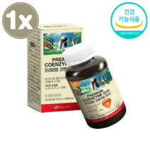 코엔자임 Q10 600mg 90캡슐 코큐텐 코Q10 직장인 대학생 친구 선물