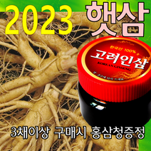 금산인삼아줌마 인삼 (1호)잔난발삼 750g 산지에서 발송 가정용 수삼, 1개, 잔난발삼(1호) 750g