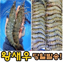 강경 맛깔젓 홍새우젓 국내산 북새우젓2kg, 2kg