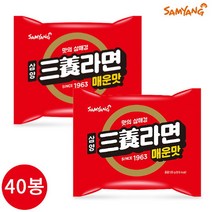 브랜드없음 삼양 삼양라면 매운맛 120g x 40봉, 단품없음