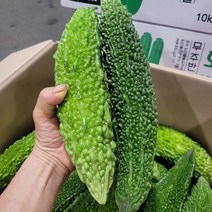 여주10kg 5kg 국내산 백산상회, 1박스, 10kg