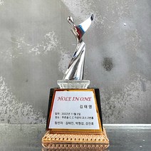 좋은상패 순금판 홀인원트로피 이글패 싱글패 골프트로피 JH02