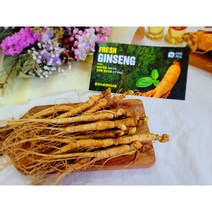 금산인삼 꿀절임 튀김 삼계탕수삼 재배 삼계삼 유통공사 500g, 2-2. [세척] 26~35뿌리 500g