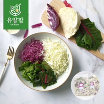 의령농산 유알팜 당일채소 당일제조 당일발송 양배추믹스 샐러드 100g 5팩 추가증정랜덤1팩, 양배추 믹스 샐러드 100g×5팩, 5개