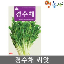 경수채 씨앗 15g