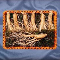 풍기인삼 6년근수삼8호 800g(10~13뿌리)