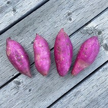 22년 햇 고구마 꿀밤고구마 밤고구마 꿀고구마 베니하루카, 꿀고구마(특상) 3kg, 1박스