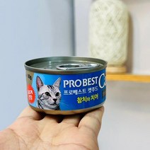 (ABM도매콜) 프로베스트 캣푸드 참치+치어80g, 상세페이지 참조, 상세페이지 참조