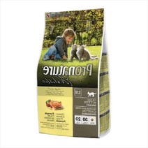 아기 고양이 유기농 사료 닭고기 고구마 오가닉 간식 캣 키튼 반려묘 건식 냥이 2.72kg, 본상품선택