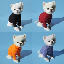 플러피유 아이 엠 터틀 터틀넥 환절기 티셔츠 강아지옷, 오렌지